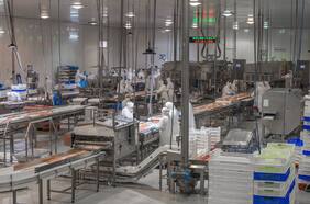 Gremio del Salmón reporta leve aumento en exportaciones durante el primer semestre