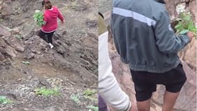 Conaf condena extracción de plantas endémicas en la Reserva Nacional La Chimba durante el desierto florido