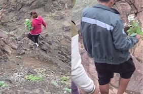 Conaf condena extracción de plantas endémicas en la Reserva Nacional La Chimba durante el desierto florido