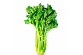 Productos y sabores para disfrutar en otoño