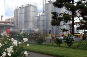 Nestlé baja la cortina de su planta en Llanquihue y el alcalde critica duramente su compromiso con la comuna: “Fue un mal vecino”