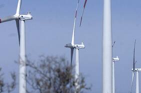 Permisología: una golondrina no hace verano