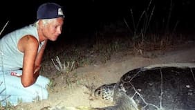 Fundadora de un santuario ecológico y rescatista de tortugas marinas falleció tras ataque israelí al Líbano