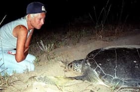 Fundadora de un santuario ecológico y rescatista de tortugas marinas falleció tras ataque israelí al Líbano