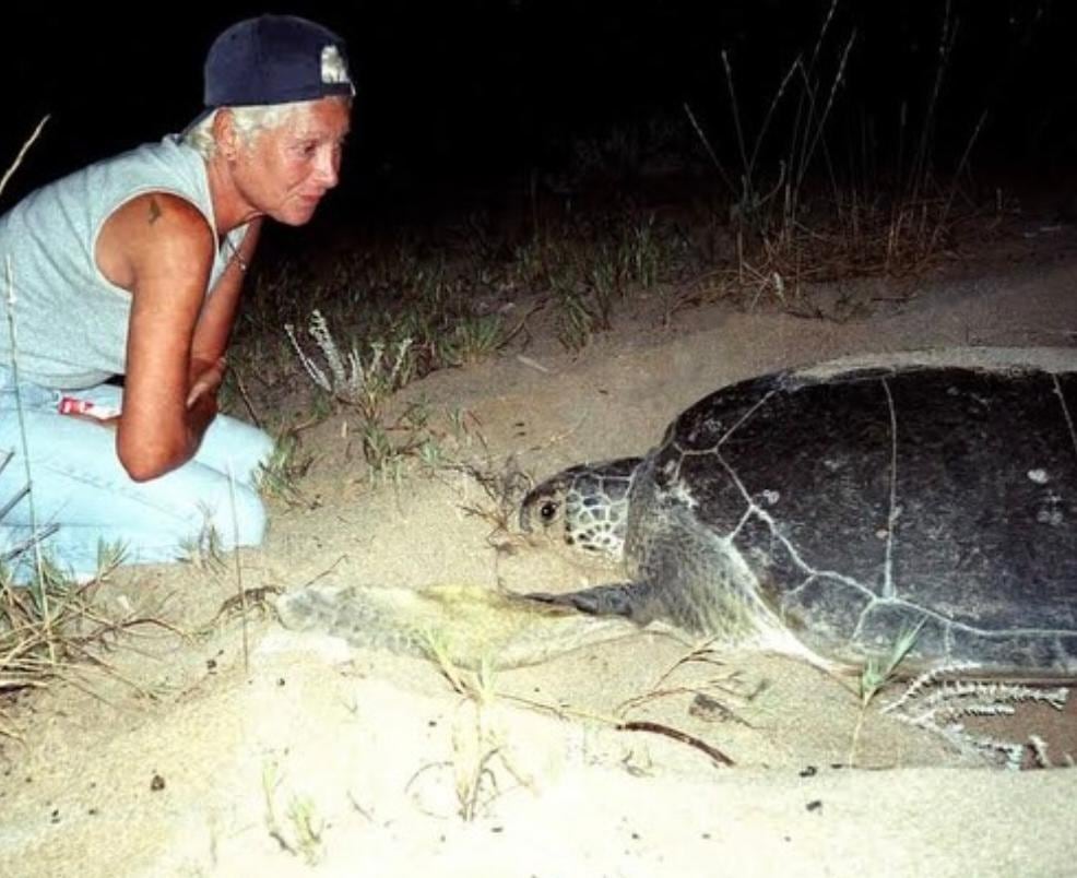 Fundadora de un santuario ecológico y rescatista de tortugas marinas falleció tras ataque israelí al Líbano