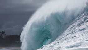 SHOA descarta tsunami en costas de Chile tras sismo percibido frente a costa japonesa