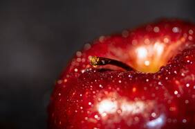 Soy nutricionista y estas son las 5 frutas que siempre deberías comer