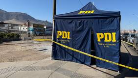 Investigan muerte de una mujer y su perro en Antofagasta: habrían terminado electrocutados por un cable expuesto