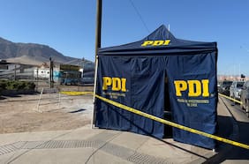 Investigan muerte de una mujer y su perro en Antofagasta: habrían terminado electrocutados por un cable expuesto