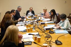 Comisión del Senado avanza sin el gobierno y aprueba idea de legislar de reforma política