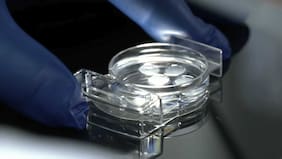 Científicos editan por primera vez genes de embriones humanos: podrían crear bebés con características específicas