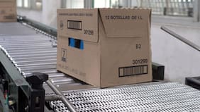 Mercado de las cajas de cartón: familia Matte Izquierdo compra la unidad en Chile de International Paper