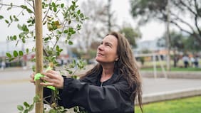 Suzanne Wylie: “Aún tenemos 14 millones de hectáreas de bosque nativo, es un lujo que hay que cuidar”