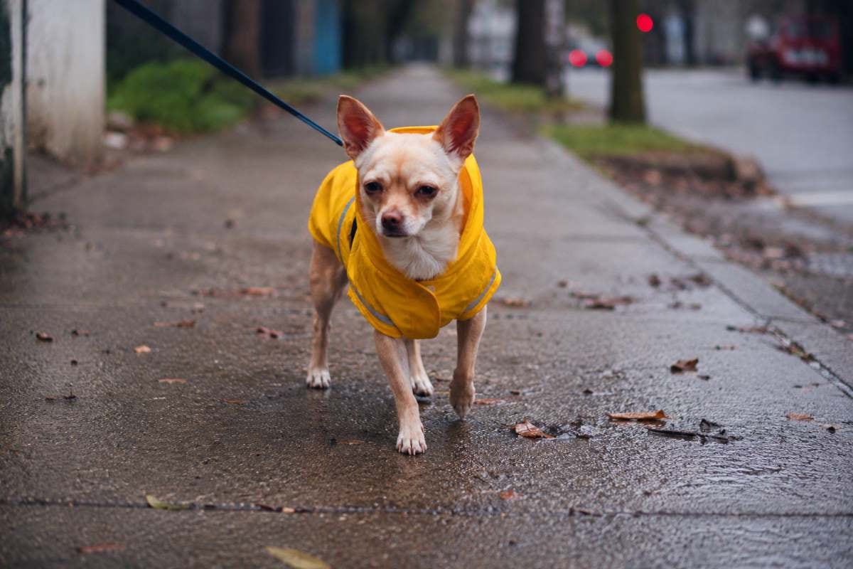 Cuándo llega el primer sistema frontal del invierno que afectará a Santiago y la RM
