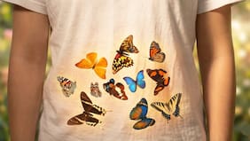 Por qué sentimos “mariposas” en el estómago, según la ciencia