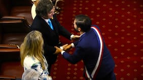 Operación rusa incluyó campaña de desinformación para tensionar relación entre Chile y Argentina