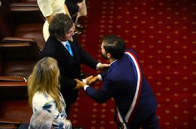 Operación rusa incluyó campaña de desinformación para tensionar relación entre Chile y Argentina