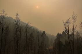 Senapred informa 16 fallecidos por los incendios y reporta 80 siniestros activos y 251 focos a nivel nacional
