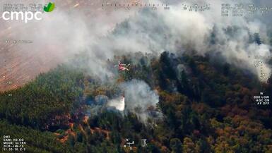 Incendios forestales en La Araucanía: cerca de 60 detenidos por siniestros en la región durante la temporada