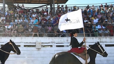 Peñaflor anuncia su primera Fiesta Costumbrista de septiembre: revisa los precios y artistas confirmados