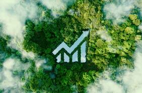 Los bancos y aseguradoras que aspiran a la carbono neutralidad ya tienen una hoja de ruta sobre cómo lograrlo