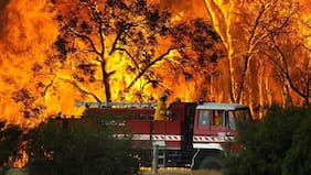 Australia declara estado de desastre: más 300.000 hectáreas han sido arrasadas por incendios en Victoria