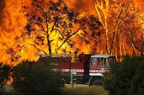 Australia declara estado de desastre: más 300.000 hectáreas han sido arrasadas por incendios en Victoria