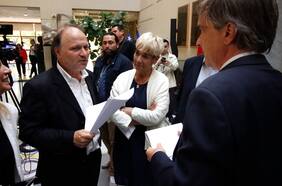 Reforma política: comisión del Senado ratifica umbral que solo condiciona elección de diputados