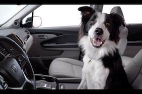 Honda se pliega a Subaru y recurre al ‘mejor amigo del hombre’ para promocionar el SUV Pilot