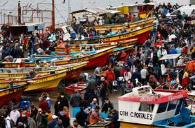 Ley de Pesca: diputados aprueban fraccionamiento por amplia mayoría y el corazón de la reforma pasa ahora al Senado