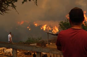 Asociación de alcaldes llama a suspender el cobro de los servicios básicos en comunas afectadas por incendios