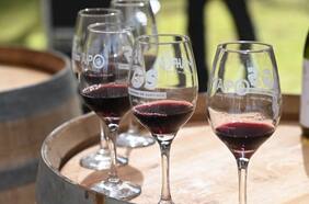 Fiesta de la Vendimia Valle del Maipo 2024 se realizará en el Parque Alberto Hurtado del 12 al 14 de abril