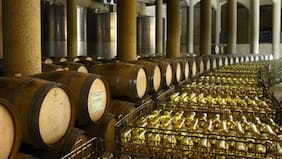 Viña Haras de Pirque: elegancia y herencia en el corazón de Maipo Andes