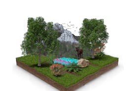 Pérdida y degradación de hábitats: Una estrategia para la conservación de la biodiversidad