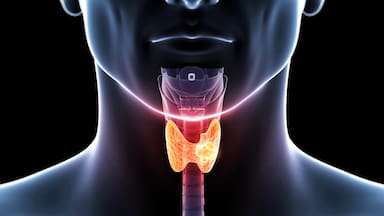 Cáncer de tiroides: qué es y cuáles son los factores de riesgo y las señales de alerta