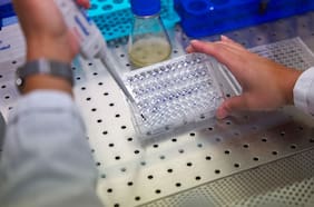 Acceso abierto, ¿pero a qué costo?