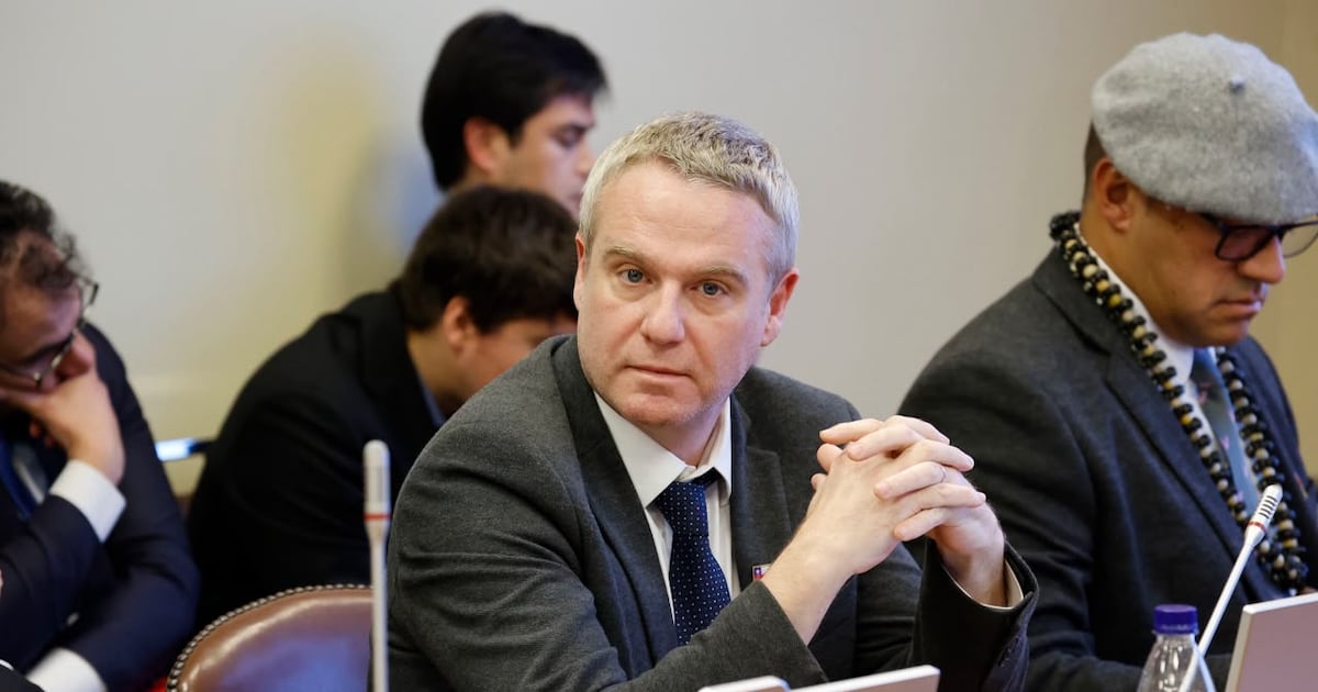 Tomás, el diputado de apellido Kast que llegó a “derechizar” Evópoli en el Congreso - La Tercera