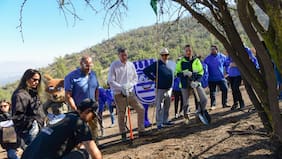Las Condes inicia proceso de restauración ecológica tras incendio de San Carlos de Apoquindo