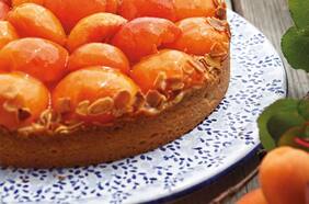 Temporada de damascos