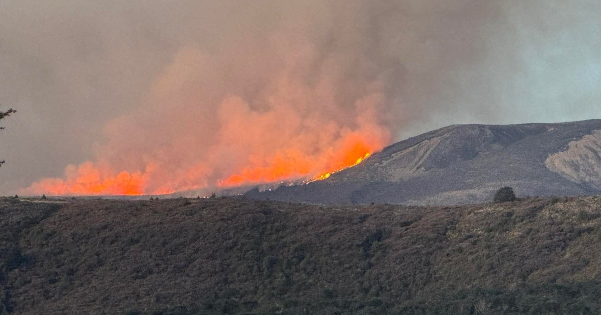 Incendios en Chile y la región: ¿qué revelan las últimas semanas de fuego? : Un análisis más allá de las llamas y las emergencias inmediatas