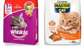 Corte Suprema confirma rechazo a demanda de Carozzi contra Masterfoods por uso de la frase “8 de cada 10 gatos prefiere Whiskas”