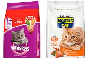 Suprema confirma rechazo a demanda de Carozzi contra Masterfoods por uso de la frase “8 de cada 10 gatos prefiere Whiskas”