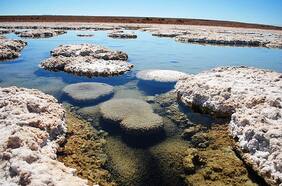 Lithium Chile concreta nuevo joint venture: se asocia con la francesa Eramet para proyecto en el salar de Llamara