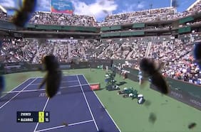 Una insólita invasión de abejas ataca a Carlos Alcaraz y Alexander Zverev en Indian Wells