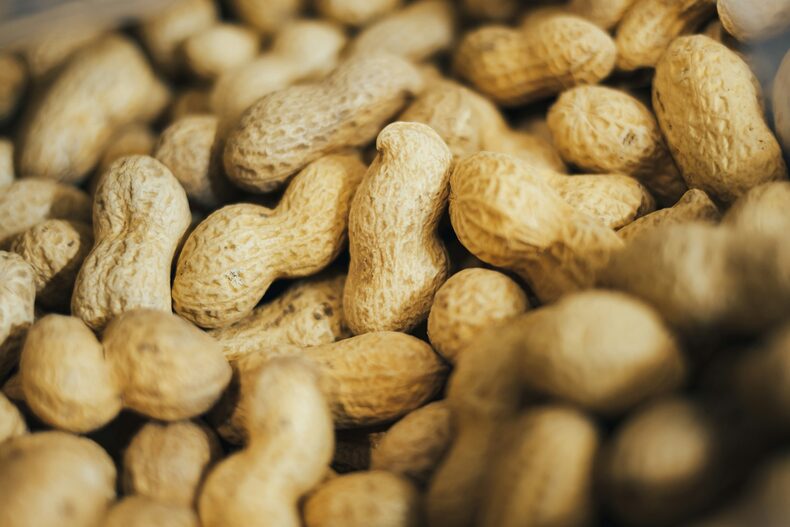 dried fruits