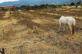 Escasez de agua afecta a 61 comunas del país
