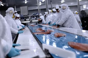 Blumar reporta pérdida total en planta de procesamiento de salmones de Punta Arenas tras incendio
