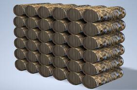 Prueban tallos de cochayuyo para reemplazar al plumavit