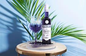 Ramazzotti Violetto Tonic