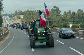Senador Huenchumilla pide al gobierno “corregir los abusos” en medio de crisis del trigo